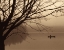 Picture of QUIET SECLUSION I