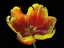 Picture of EXPOSE