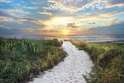 Picture of MORNING TRAIL