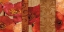 Picture of POPPY PATTERNS