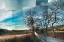 Picture of PENEDES VINEYARDS