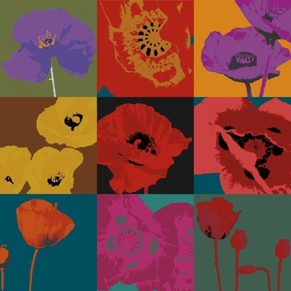 Picture of POP POPPIES
