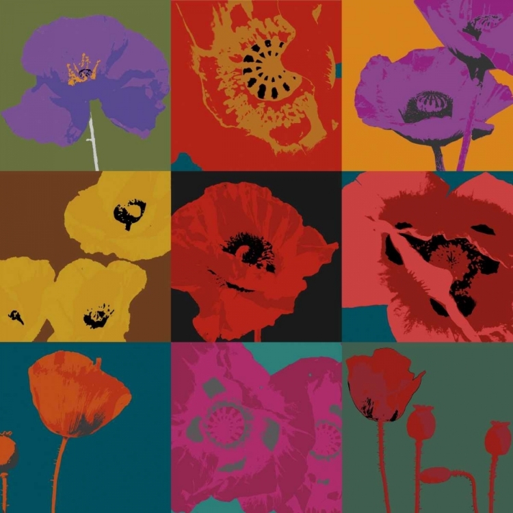 Picture of POP POPPIES