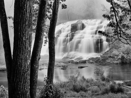 Picture of BOND FALLS AND TREES