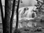 Picture of BOND FALLS AND TREES