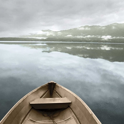 Picture of LAKE QUINAULT