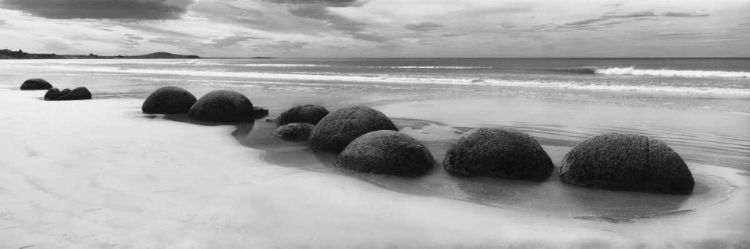 Picture of MOERAKI BOULDERS PANORAMA