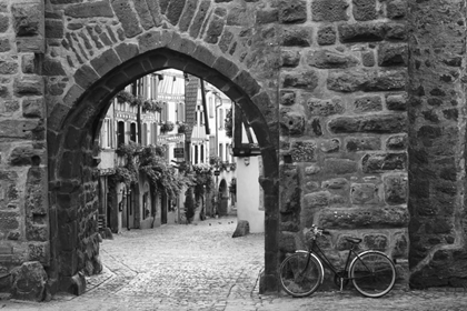 Picture of BICYCLE OF RIQUEWIHR