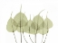Picture of WOODLANDS I