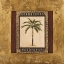 Picture of STATELY PALM II