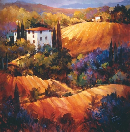 Picture of EVENING GLOW TUSCANY