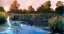 Picture of THE LILY POND