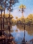 Picture of PALMS ON WATER II