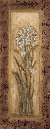 Picture of PAPERWHITES II