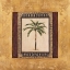 Picture of STATELY PALM II