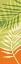 Picture of TROPIC II