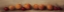 Picture of APRICOTS AND CHERRIES