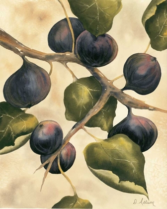 Picture of ITALIAN HARVEST - FIGS
