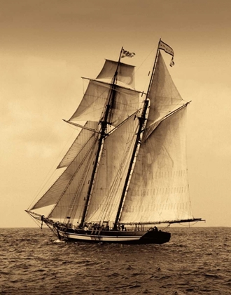 Picture of UNDER SAIL II