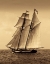 Picture of UNDER SAIL II