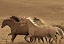 Picture of LIKE THE WIND II