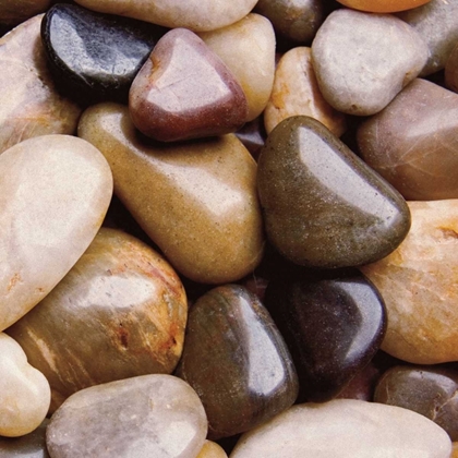 Picture of RIVER ROCKS