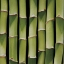 Picture of BAMBOO LENGTHS