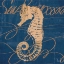 Picture of BY THE SEASHORE II