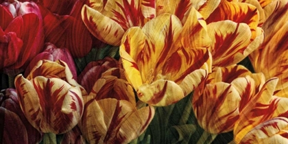 Picture of FLORAL TAPESTRY