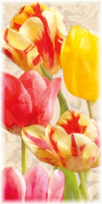 Picture of GLOWING TULIPS I