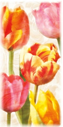 Picture of GLOWING TULIPS II