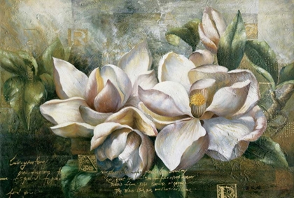 Picture of DAWNING MAGNOLIAS