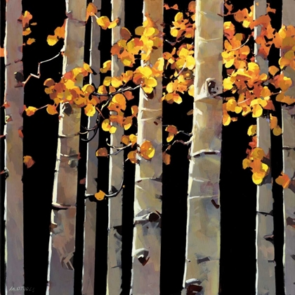 Picture of ASPEN GROVE