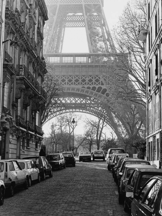 Picture of STREET VIEW OF LA TOUR EIFFEL