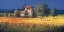 Picture of SUMMER FIELD I