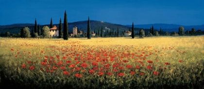 Picture of TUSCAN PANORAMA - POPPIES