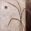 Picture of GRASS ROOTS II