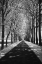 Picture of FOLLOW ME