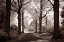 Picture of ARCADIA