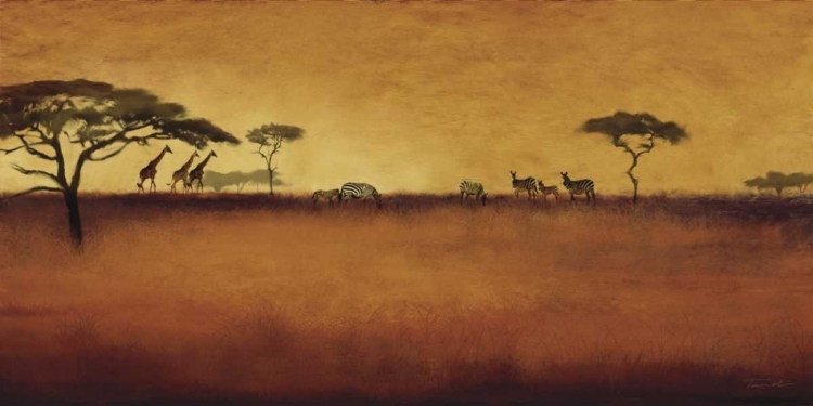 Picture of SERENGETI I