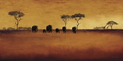 Picture of SERENGETI II