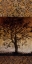 Picture of OAK TREE I