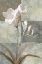 Picture of MEMENTO I