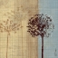 Picture of SILHOUETTE IN THE BREEZE