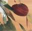 Picture of SUMMERTIME I