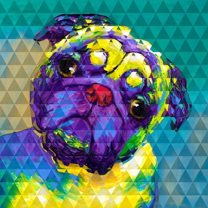 Picture of GEOMETRIC CURIOUS PUG