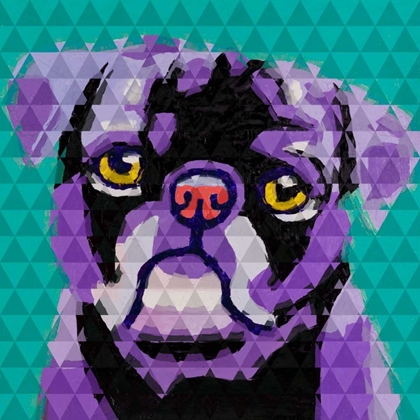 Picture of GEOMETRIC PUG