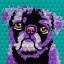 Picture of GEOMETRIC PUG