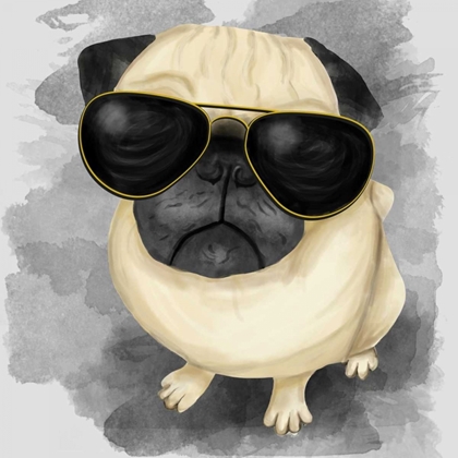 Picture of PUG WITH SUNGLASSES