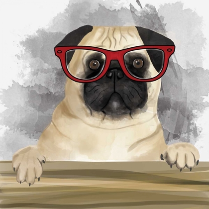 Picture of PUG WITH GLASSES